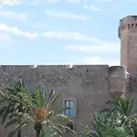 Oasis Ilicitano Lägenhet Elche