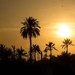 Lägenhet Oasis Ilicitano