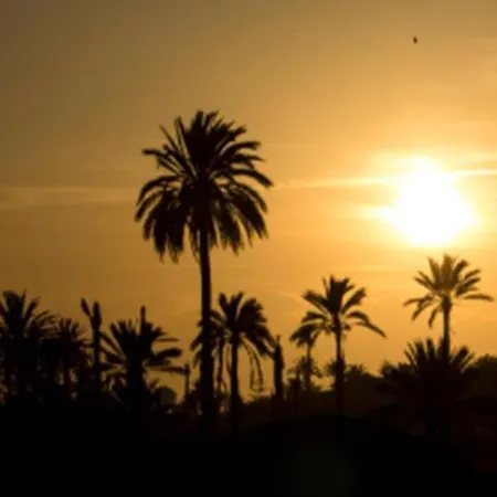 Lägenhet Oasis Ilicitano